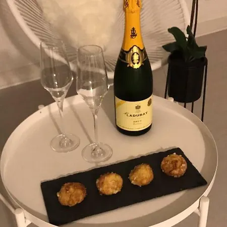 Coeur De Maine Appartement Angers